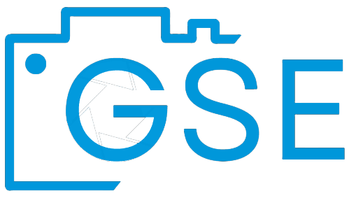 GSE logo dark